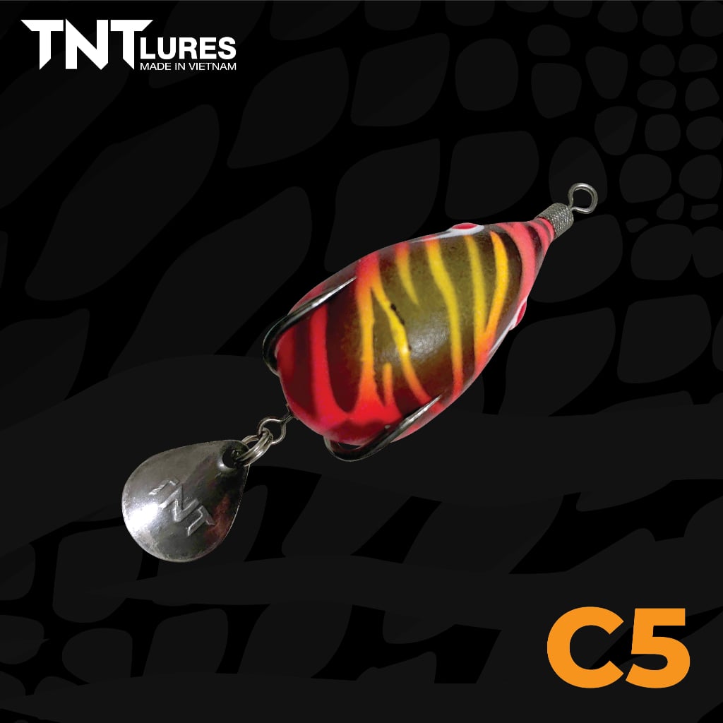 F35Czin-C5