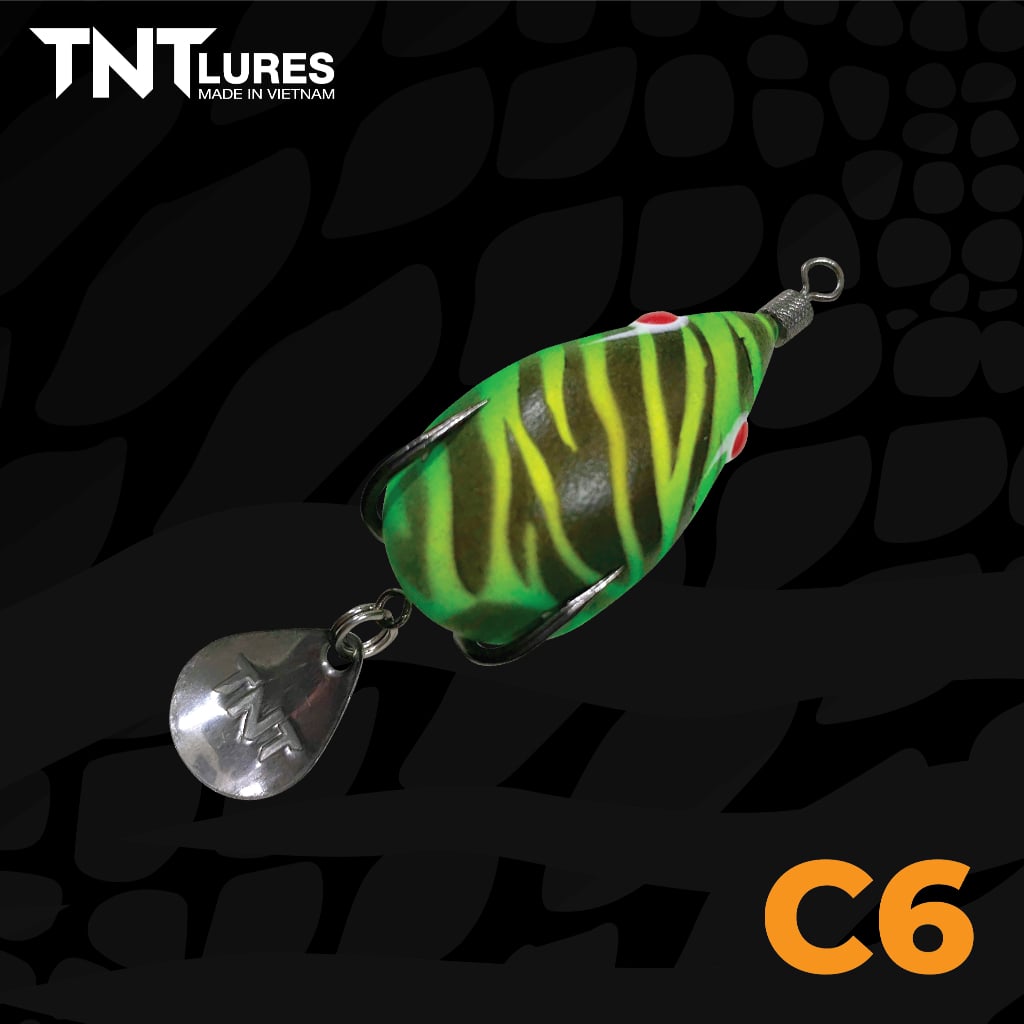 F35Czin-C6