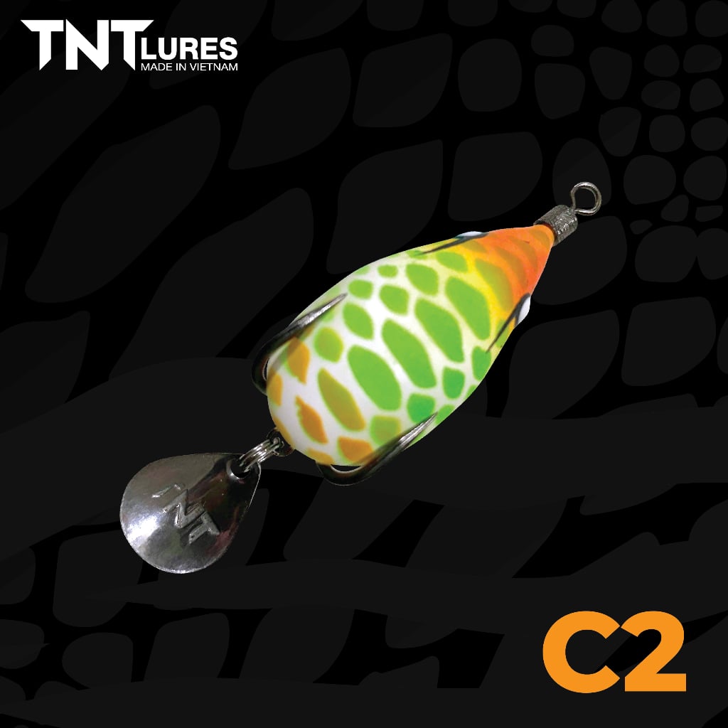 F35zin-C2