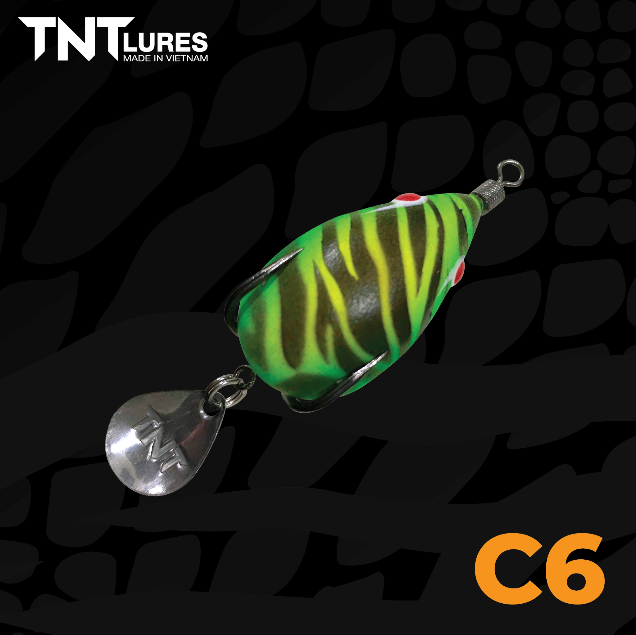 F35Czin-C6
